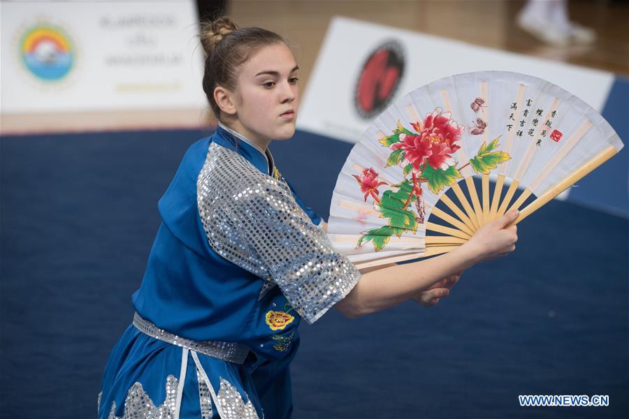 (SP)LITHUANIA-VILNIUS-WUSHU-LITHUANIA OPEN