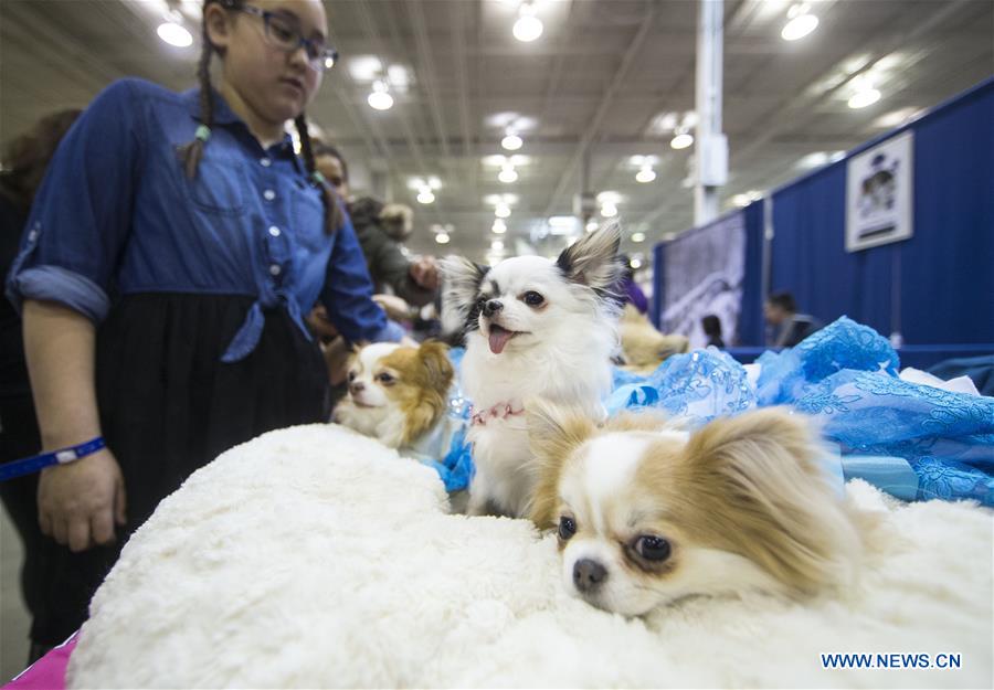 CANADA-TORONTO-PET EXPO