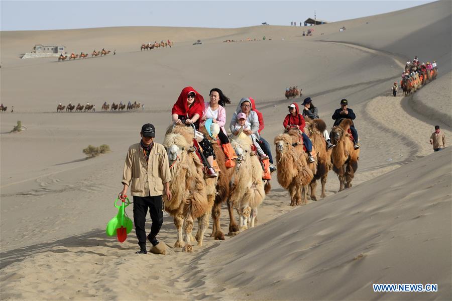 CHINA-GANSU-DUNHUANG-CAMEL-RIDE (CN)