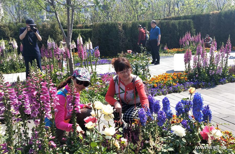 (BeijingCandid)CHINA-BEIJING-HORTICULTURAL EXPO-FLOWERS (CN)