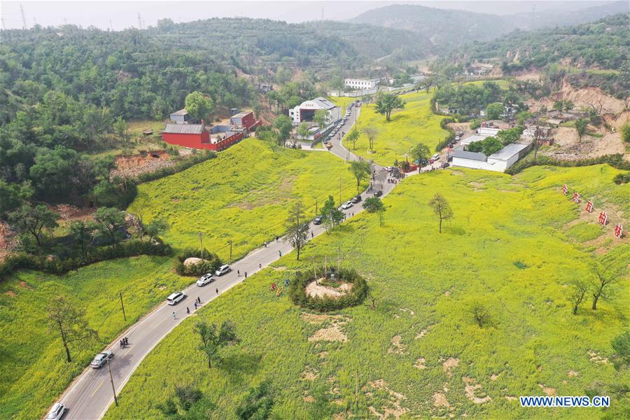 CHINA-SHANXI-TAIYUAN-COLE FLOWERS (CN)