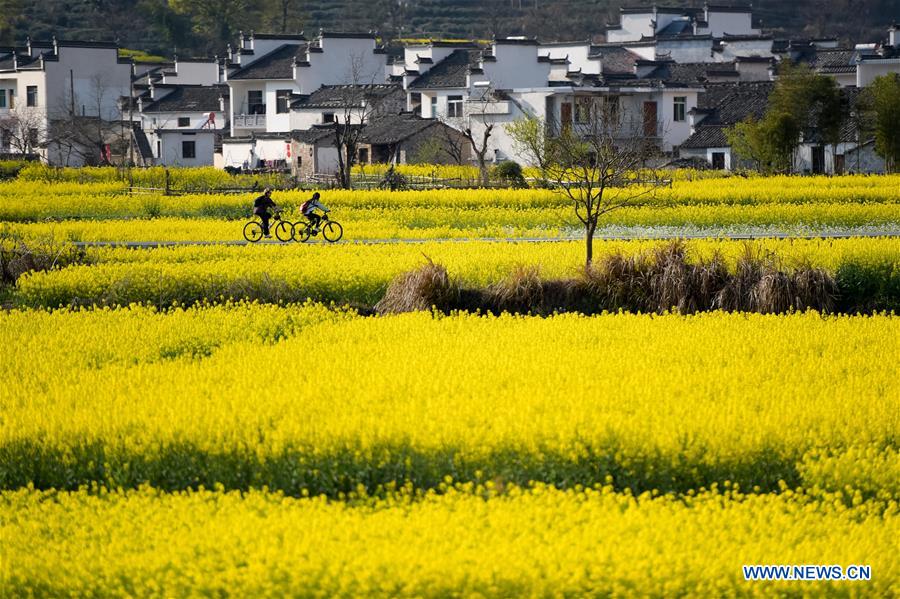 (EcoChina) CHINA-BEIJING-HORTICULTURAL EXPO-ANHUI (CN)