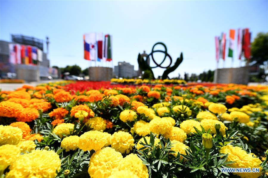 TAJIKISTAN-DUSHANBE-BLOSSOM