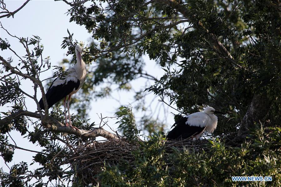 TURKEY-SAMSUN-KIZILIRMAK DELTA-SCENERY (CN)