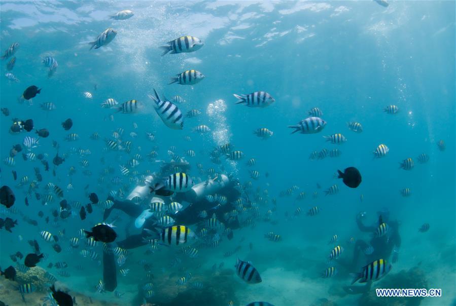 CHINA-HAINAN-BOUNDARY ISLAND-DIVING (CN)