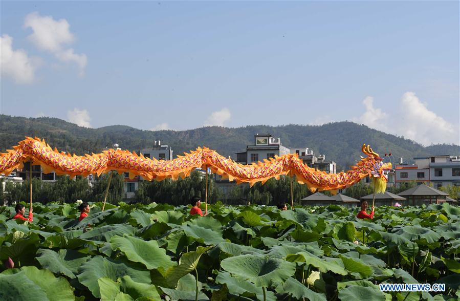 CHINA-YUNNAN-LOTUS FLOWERS (CN)