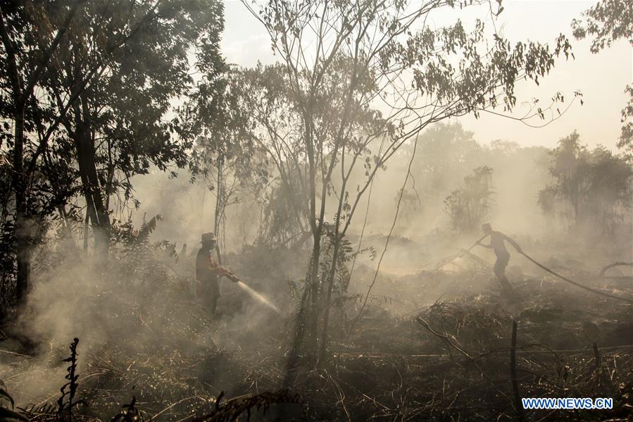 INDONESIA-RIAU-PEATLAND FIRE