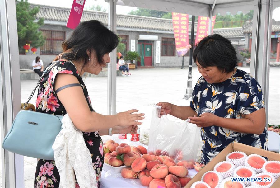 CHINA-BEIJING-PINGGU-PEACH FAIR(CN)