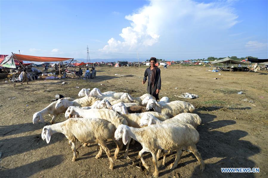 PAKISTAN-ISLAMABAD-EID-AL-ADHA-MARKET