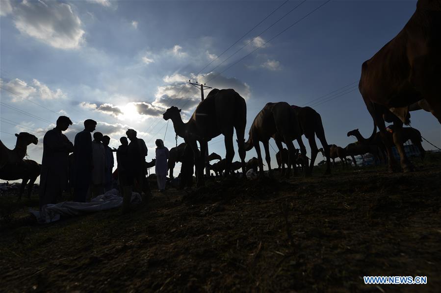 PAKISTAN-ISLAMABAD-EID-AL-ADHA-MARKET