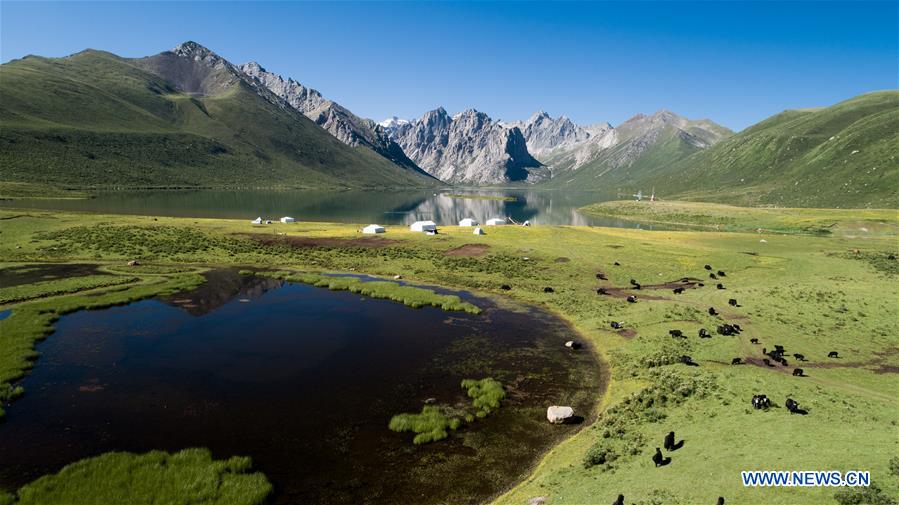 (EcoChina)CHINA-HORTICULTURAL EXPO-QINGHAI (CN)