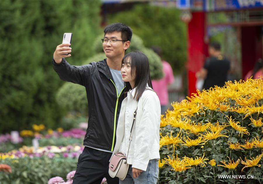 CHINA-NINGXIA-YINCHUAN-CHRYSANTHEMUM EXHIBITION (CN)