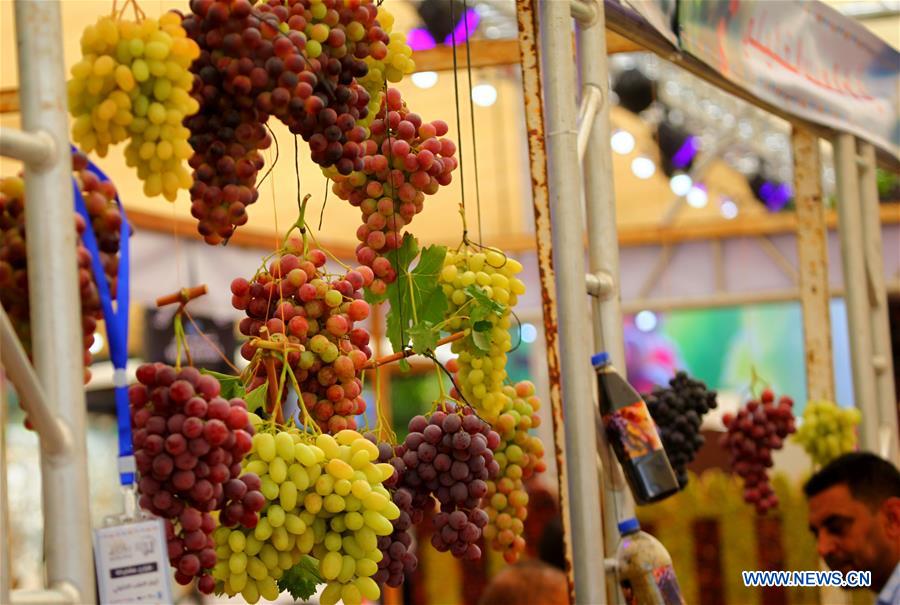 MIDEAST-HEBRON-GRAPES-FESTIVAL