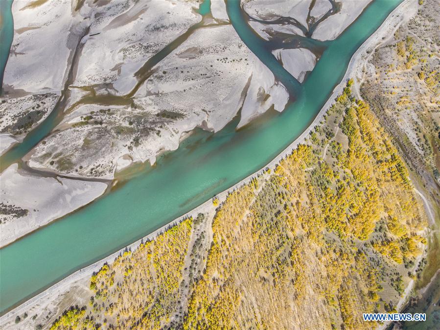 CHINA-TIBET-LHASA-AUTUMN SCENERY (CN)