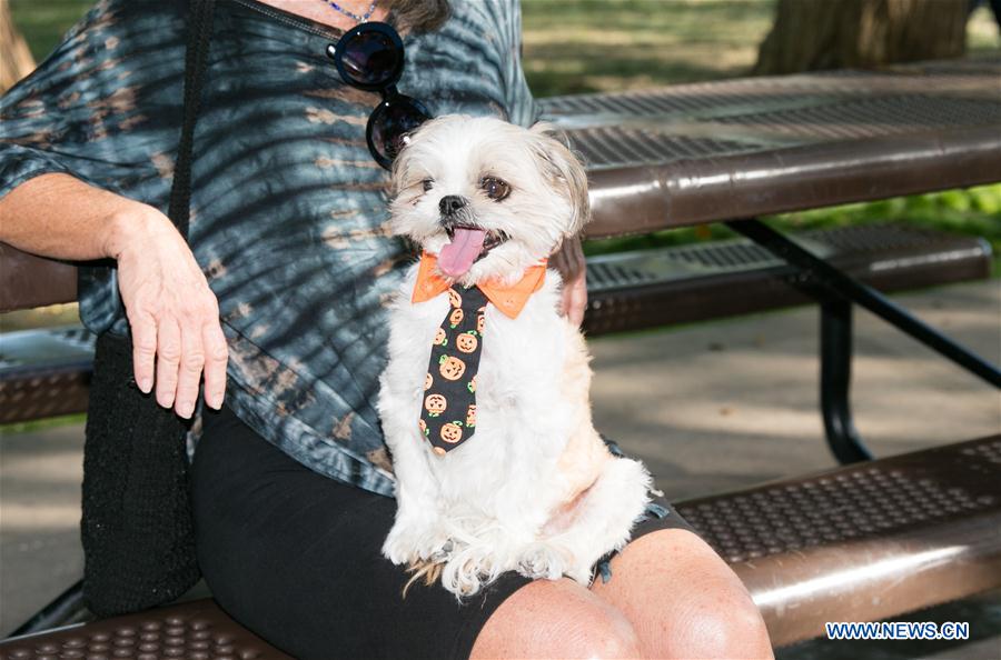 U.S.-DALLAS-DOG FESTIVAL