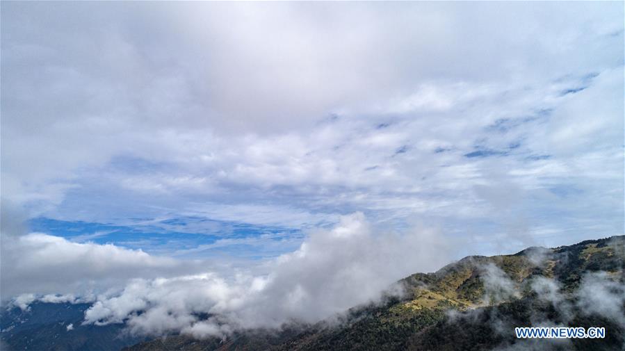 CHINA-HUBEI-SHENNONGJIA-SEA OF CLOUDS(CN)