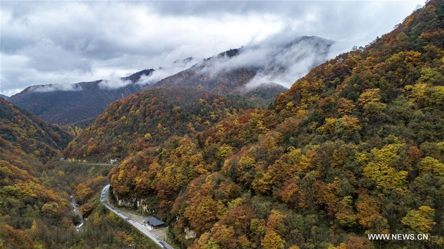 CHINA-HUBEI-SHENNONGJIA-AUTUMN SCENERY (CN)