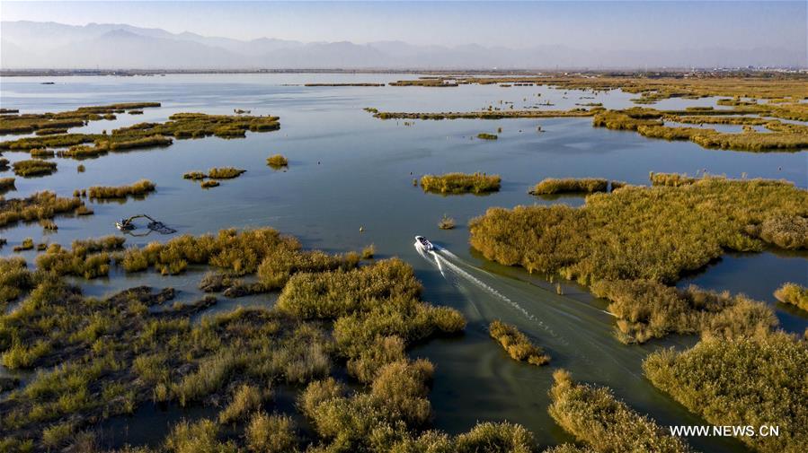 CHINA-NINGXIA-SHAHU LAKE-SCENERY (CN)