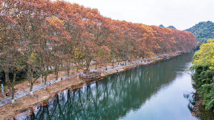 CHINA-GUIZHOU-GUIYANG-AUTUMN SCENERY (CN)