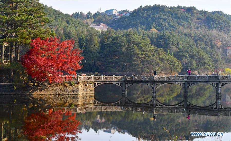 CHINA-JIANGXI-LUSHAN-MAPLE LEAVES (CN)