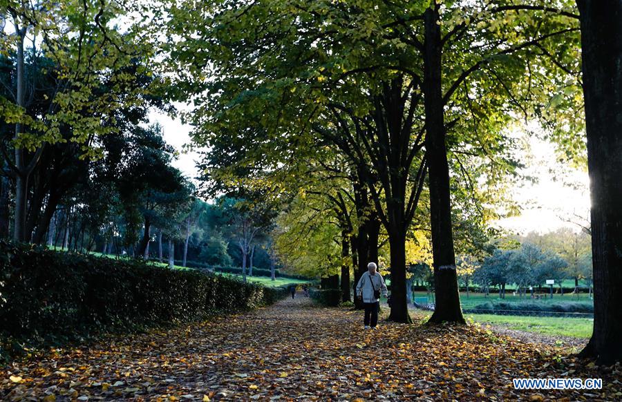 ITALY-ROME-AUTUMN SCENERY