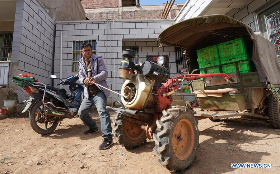 CHINA-YUNNAN-POVERTY ALLEVIATION-PEPINO MELON-INDUSTRY (CN)