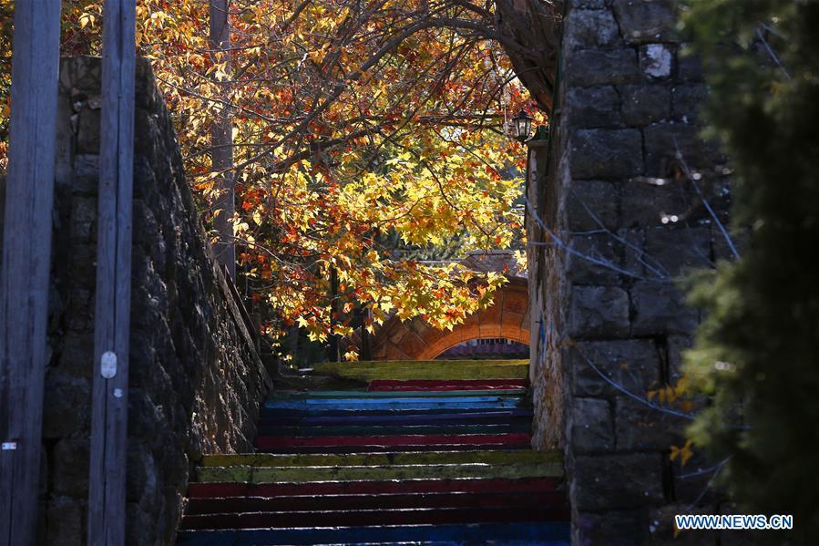 LEBANON-SAWFAR-AUTUMN SCENERY