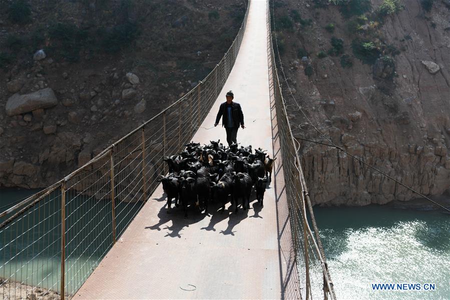 CHINA-GUIZHOU-CABLEWAY-BRIDGE (CN)