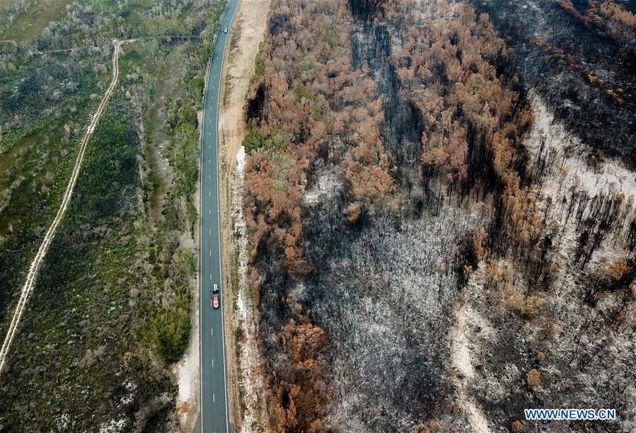 XINHUA-PICTURES OF THE YEAR 2019-WORLD