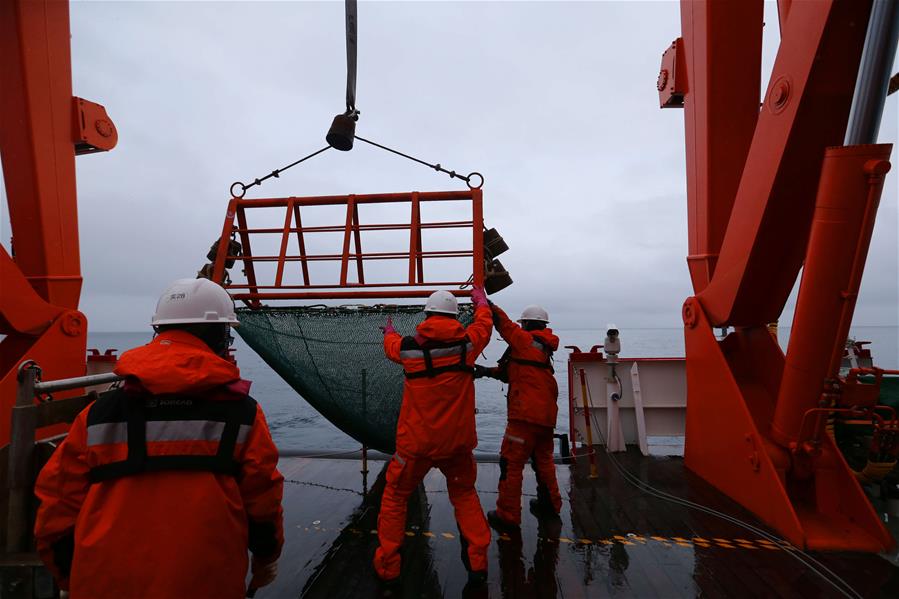 (EyesonSci)CHINA-XUELONG 2-ANTARCTIC EXPEDITION-COSMONAUTS SEA-ANIMALS