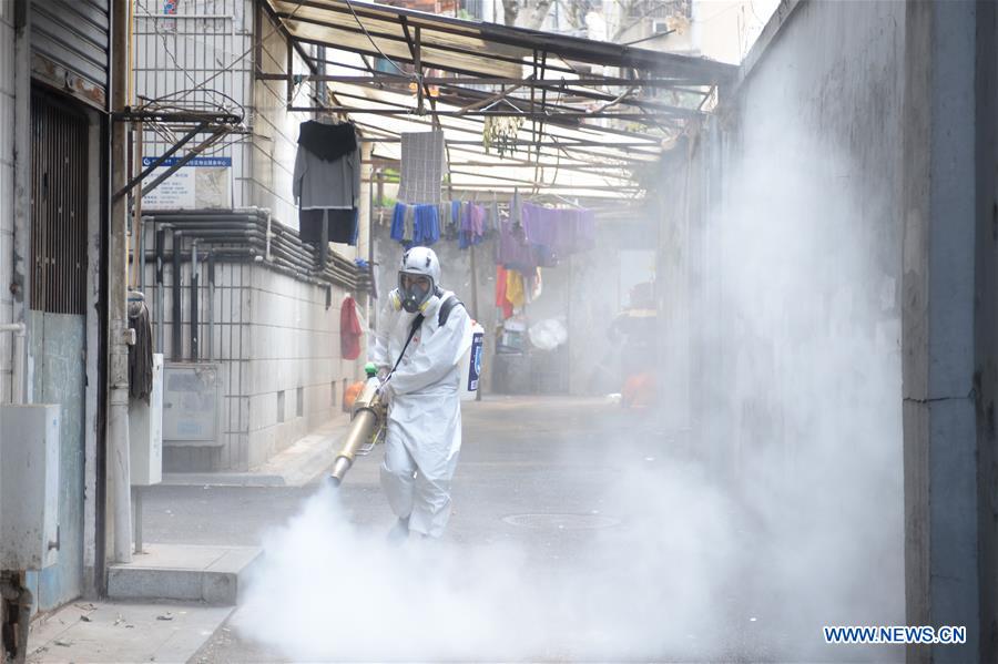 CHINA-HUNAN-DISINFECTION-VOLUNTEERS (CN)