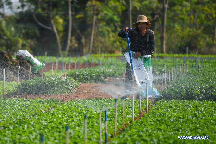 CHINA-HAIKOU-FARMING(CN)