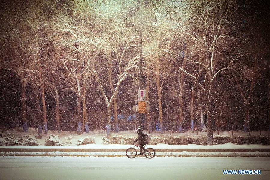 CHINA-HEILONGJIANG-HARBIN-SNOW(CN)