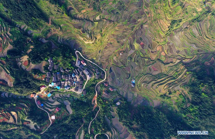 CHINA-GUANGXI-RONGSHUI-TERRACED FIELDS (CN)