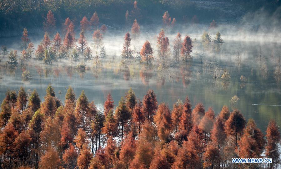 CHINA-YUNNAN-KUNMING-WETLAND (CN)