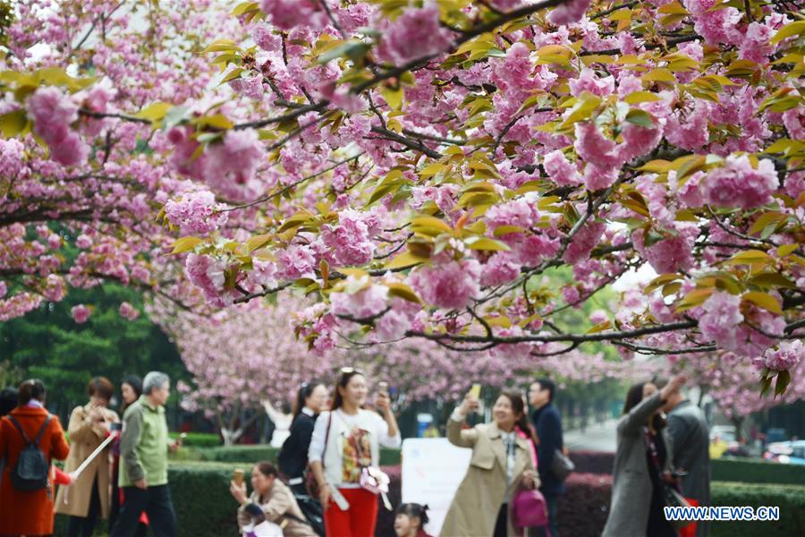 #CHINA-SPRING-LEISURE-FLOWER (CN)