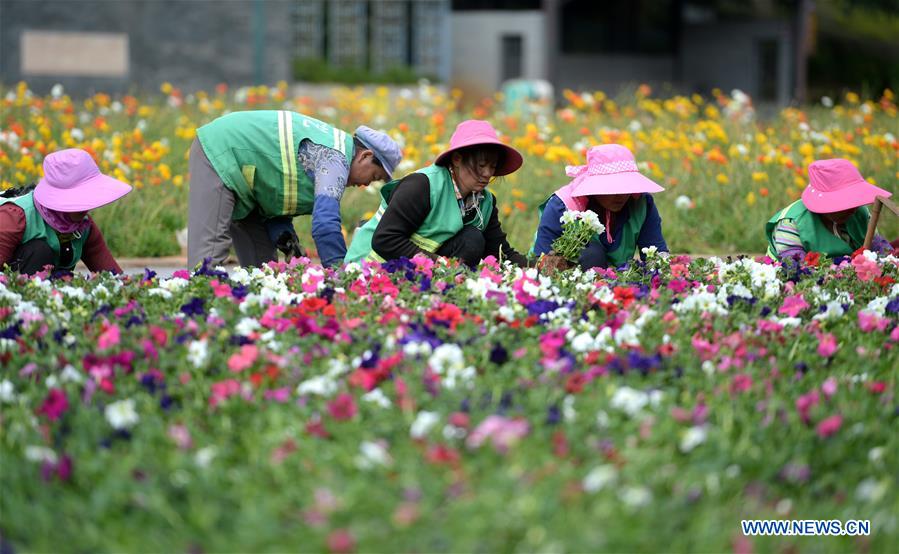 CHINA-YUNNAN-KUNMING-WORLD HORTICULTURE EXPOSITION (CN)