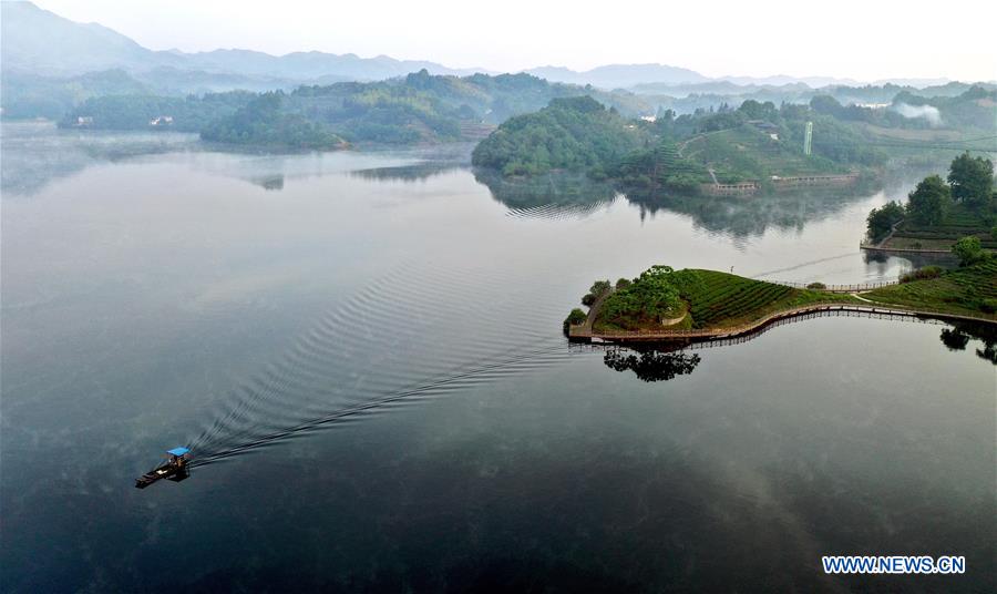 CHINA-ANHUI-LU'AN-TEA GARDEN-SCENERY (CN)