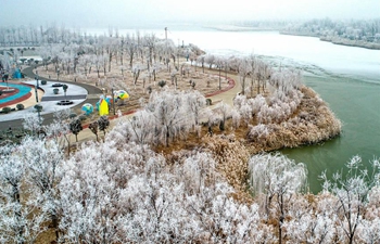 Rime scenery in Yuncheng City, north China's Shanxi