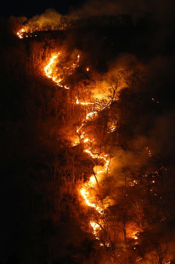 BRAZIL-TOCANTINS-AMAZON FIRES