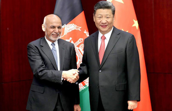 China, Afghanistan pledge closer cooperation on B&R construction