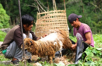 Daily life in Kaski district, Nepal