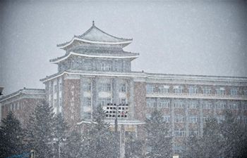 Snowfall hits Changchun