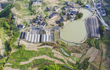 Spring scenery of Yanshanhong Village in Chongqing