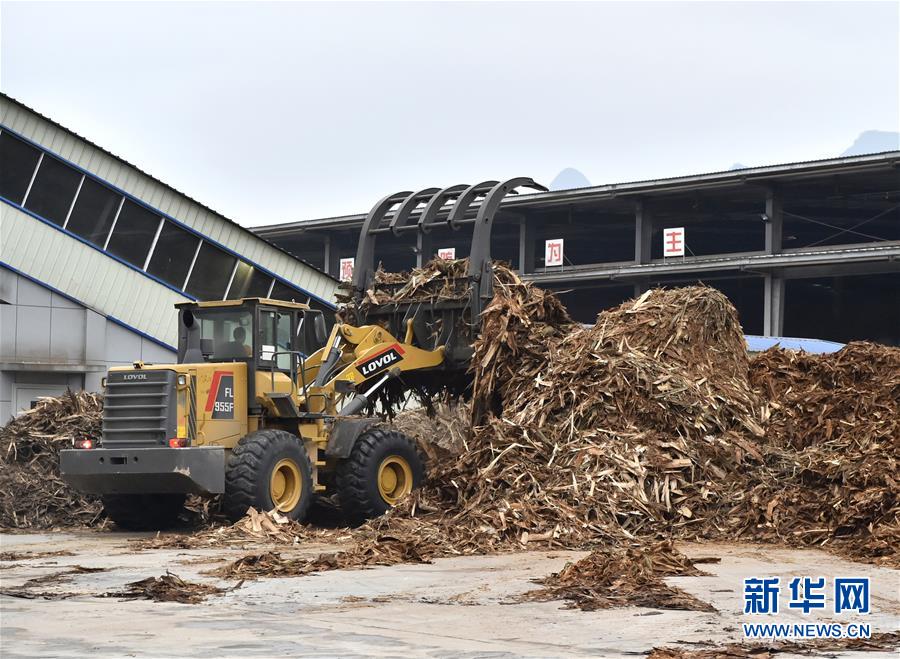 （图文互动）（3）大山深处的“生态经济” 