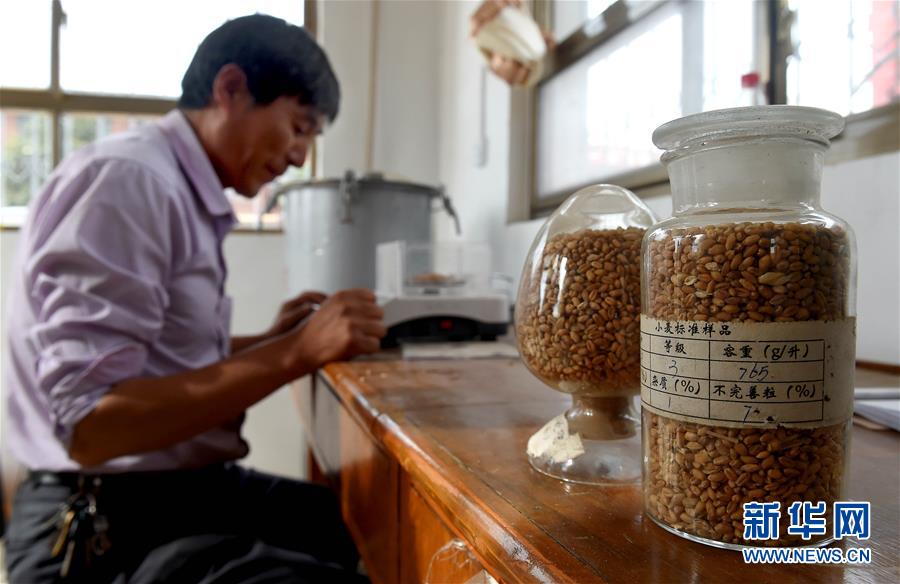 （新华全媒头条·图文互动）（16）大国粮仓的新时代交响——河南农业70年观察