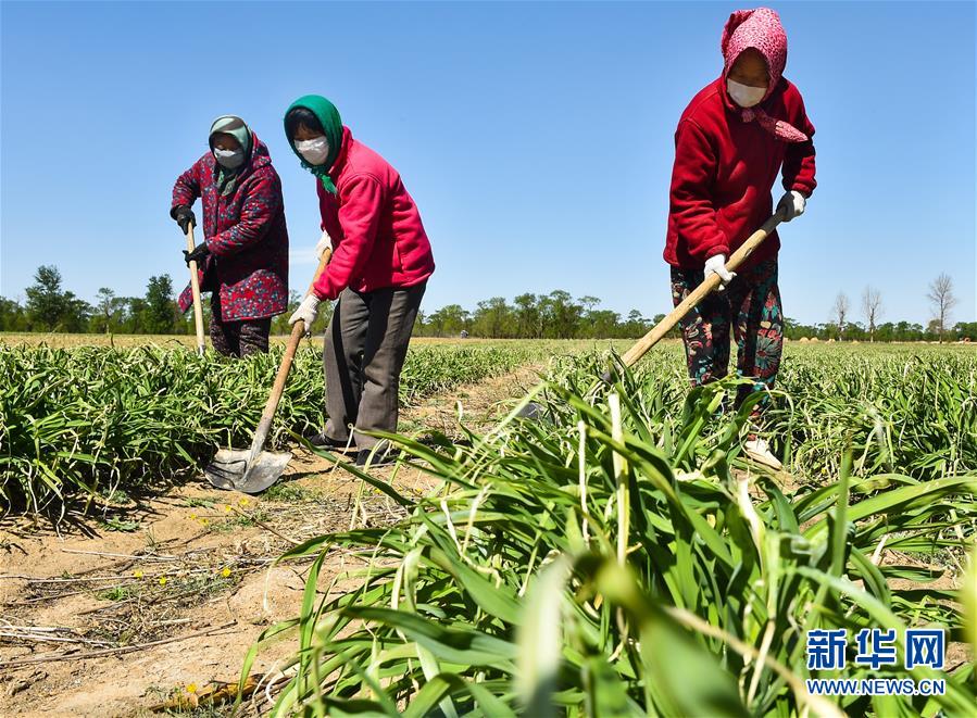 （新华全媒头条·图文互动）（17）从人民中汲取磅礴力量——习近平总书记同出席2020年全国两会人大代表、政协委员共商国是纪实