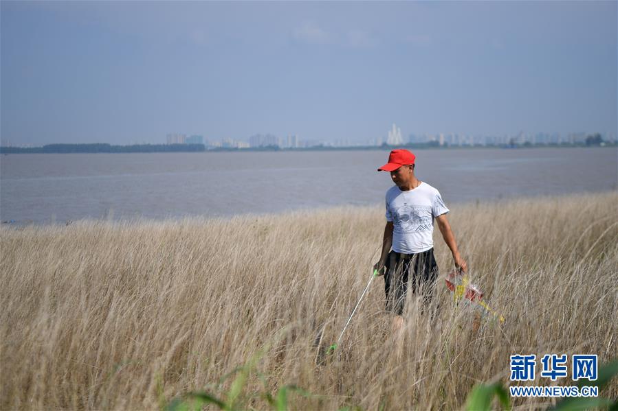 （新华全媒头条·图文互动）（7）大湖新歌——我国两大淡水湖全面生态修复进行时