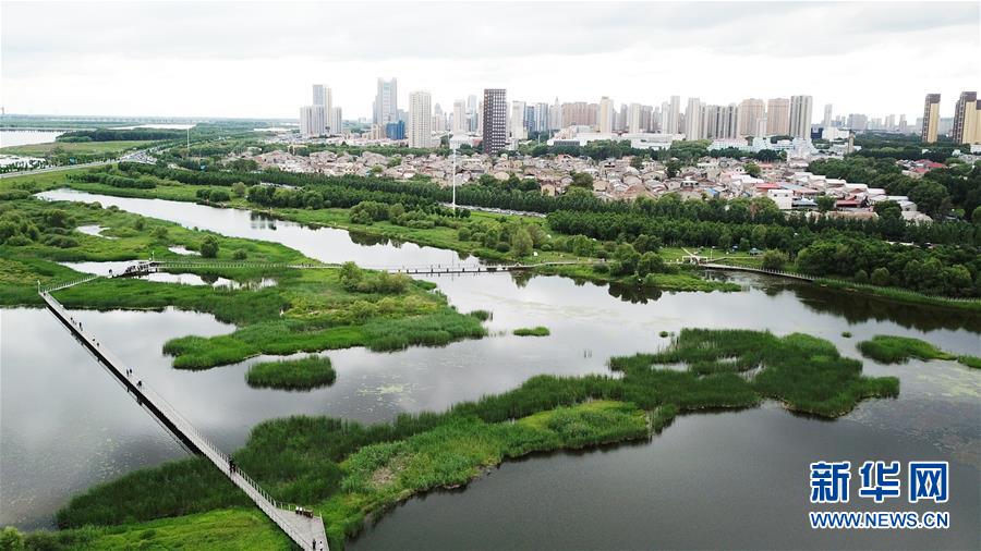 （走向我们的小康生活·图文互动）（2）水清、地绿、空气新——最北省份黑龙江绘就生态治理新画卷