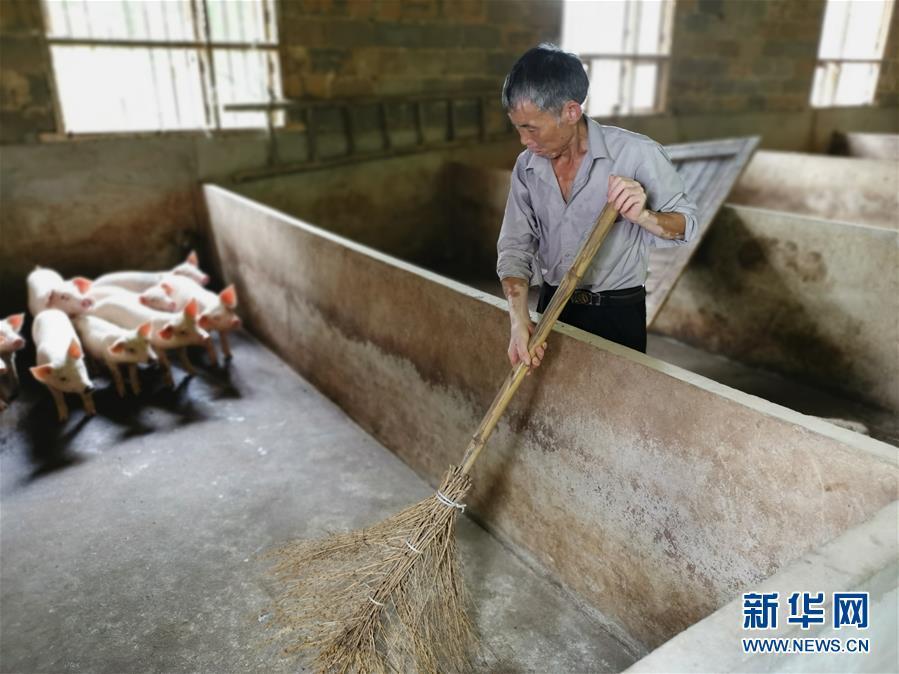 （走向我们的小康生活·图文互动）（2）长沙：以“绣花功”精准攻破“插花贫”